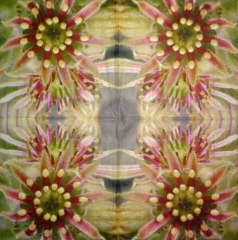 129 Flowers Others - 3 ply